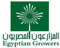 شركة المزارعون المصريون