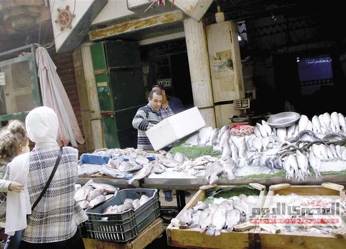 انتقادات بـ«الشيوخ» حول غلاء أسعار الأسماك.. وأعضاء: «سمك الفقراء راح فين»